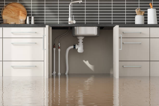 Best Water damage restoration insurance claims  in Muse, PA